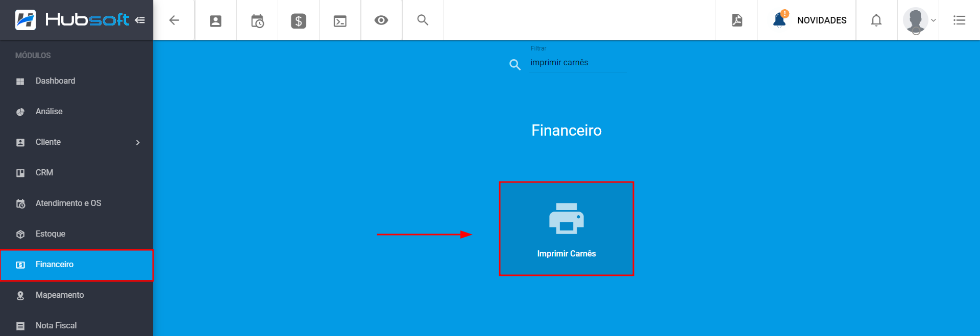 financeiro_impressao_carne.png