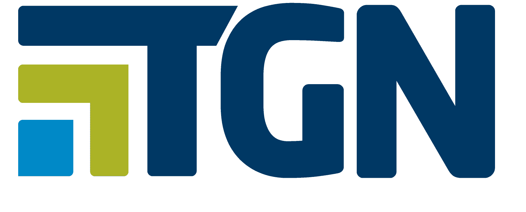 imahem_que_mostra_logo_tgn